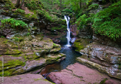 Adams Falls in Rickett's Glenn State Park in eastern Pennsylvania. photo