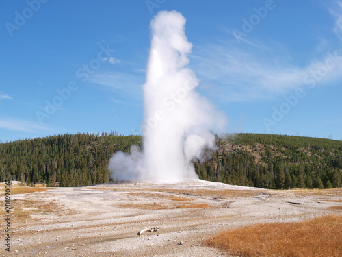 Geyser in Yellowstone