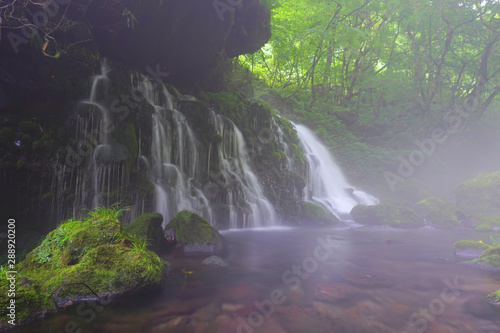 Mototaki falls, Nikaho city , Akita Pref., Japan photo