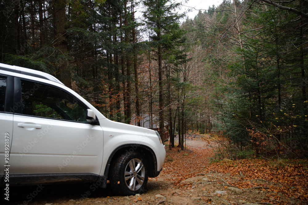 white suv car in autumn forest gazebo bbq place