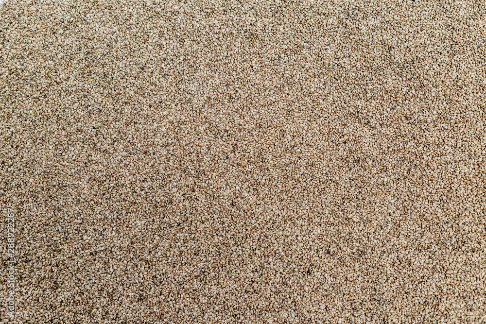 Background texture of CBD hemp seeds. Background texture of CBD hemp seeds.