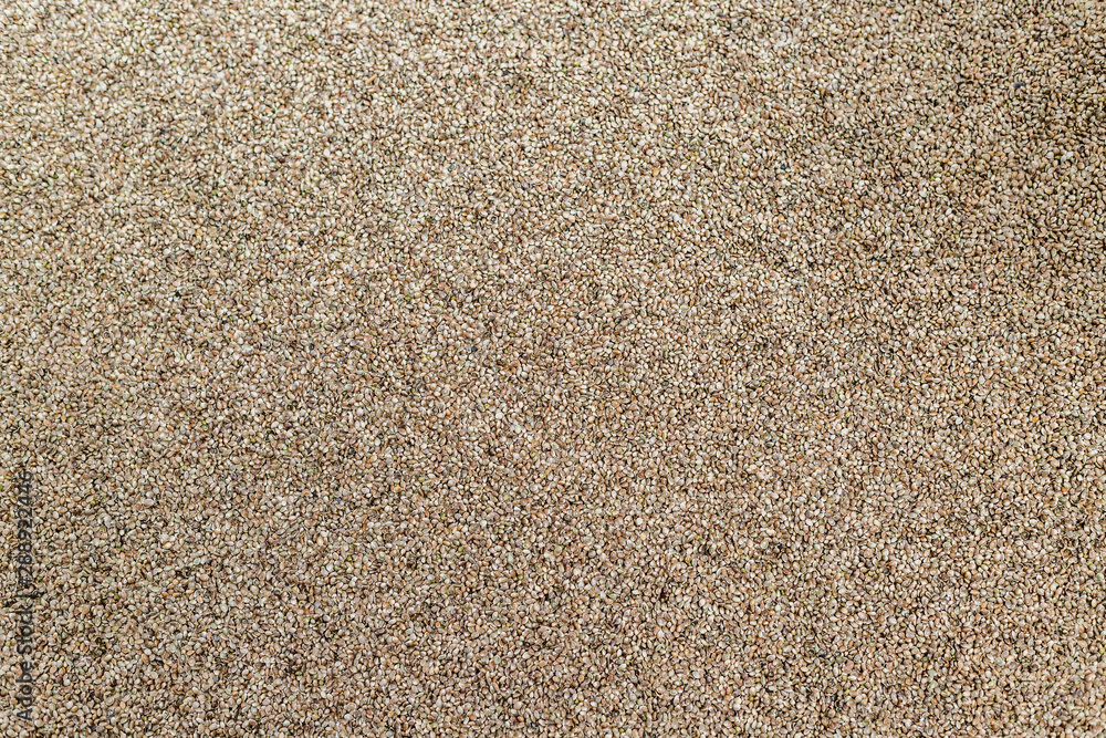 Background texture of CBD hemp seeds. Background texture of CBD hemp seeds.