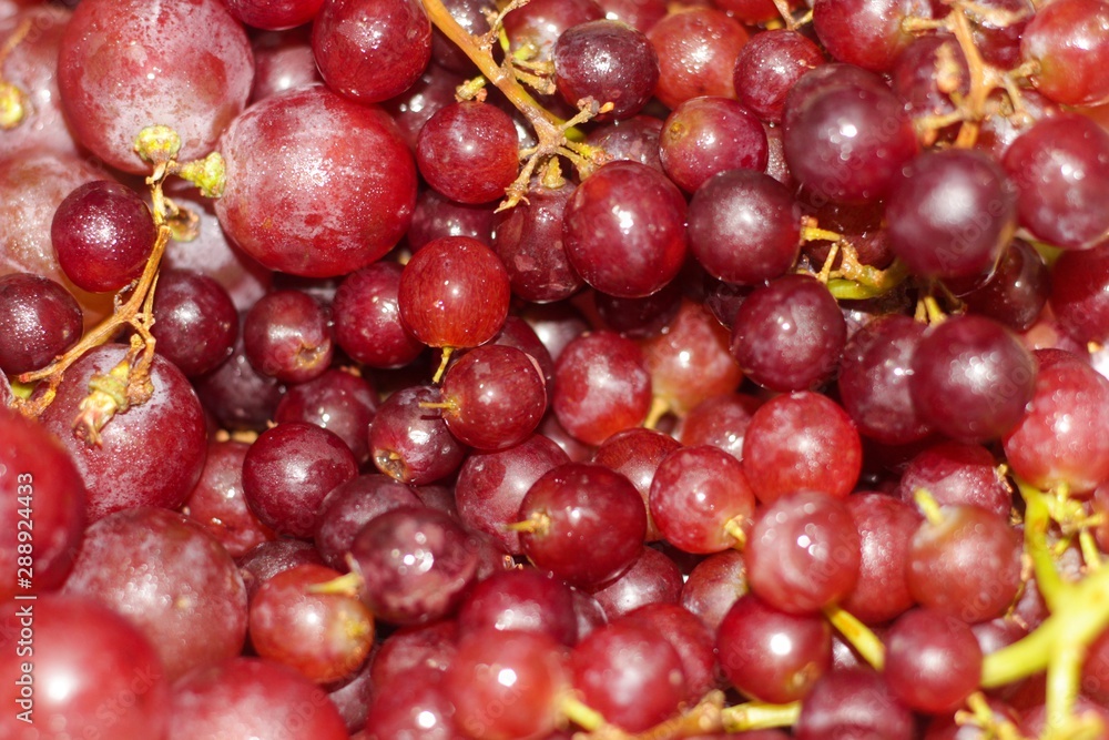 red grapes close up