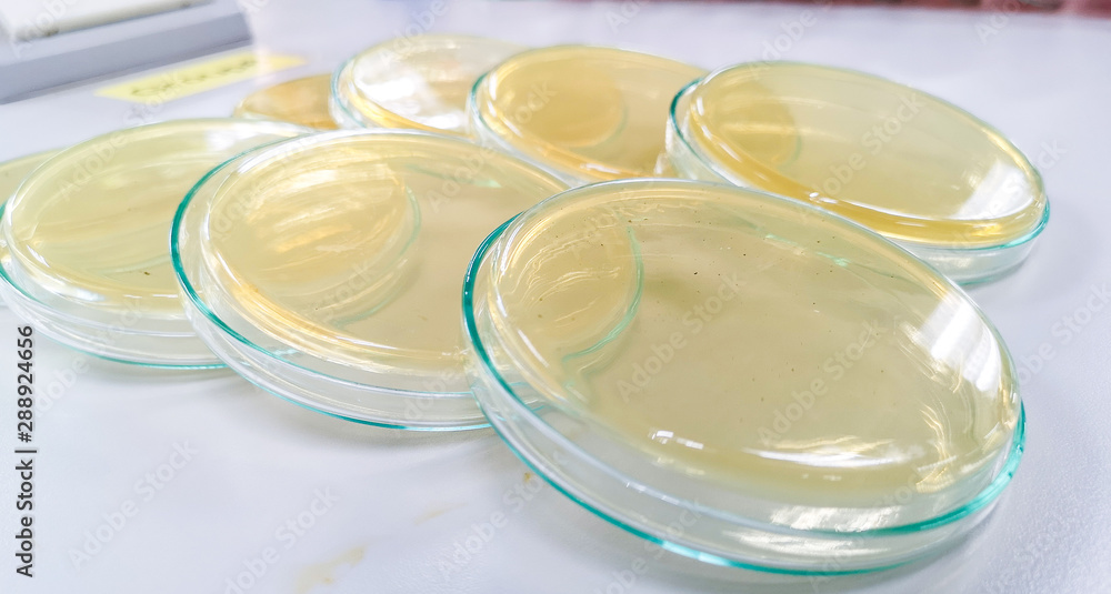 Nutrient agar for culture Bacteria Nutrient agar for culture Bacteria