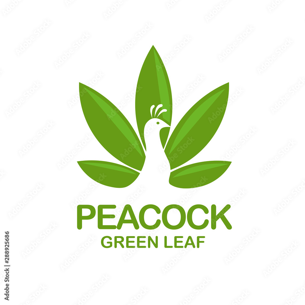 creative simple peacock with green leaf logo design vector  - obrazy, fototapety, plakaty 