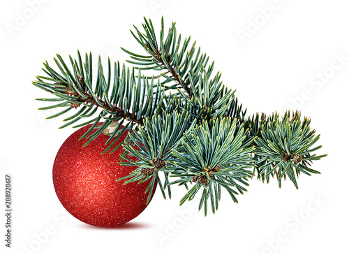 christmas ball and christmas tree isolated on white