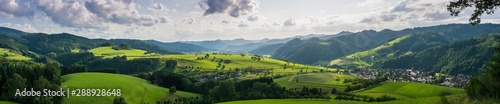 Landschaft mit dunklen Tannen und grünen Wiesen im Schwarzwald
