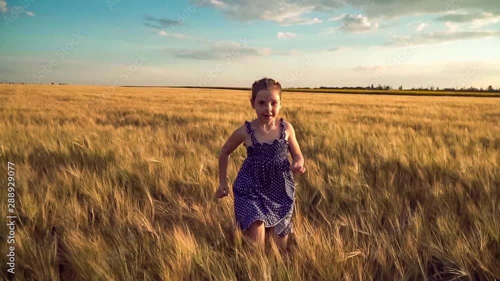 Girl Runs Across the Field with Wheat Girl Runs Across the Field with Wheat