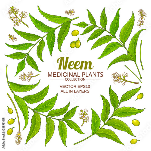 neem elements vector set