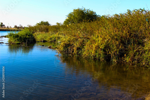 lake in the forest