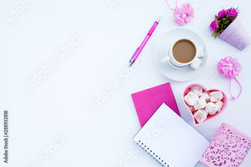 Flat lay girly, pale pink items for planning, notepads, pens, office work or working at home on her laptop, on the pale white background, with place for labels. Concept Desk.