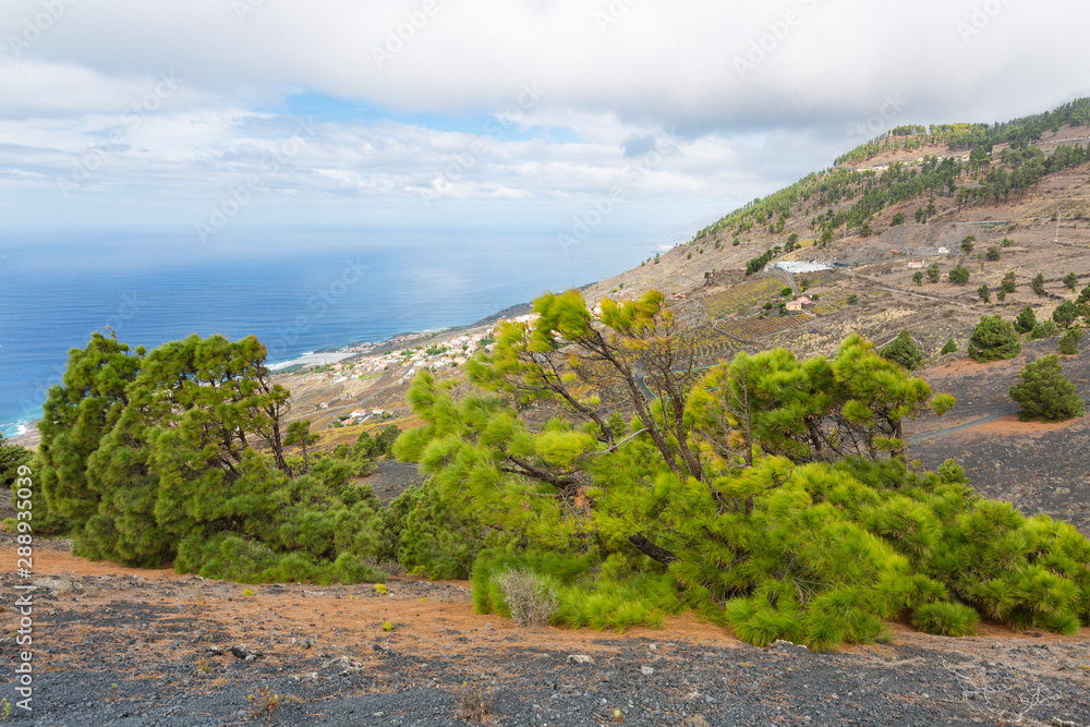 Southwest La Palma Landscape, Spain