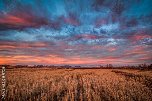 Sunrise over a field