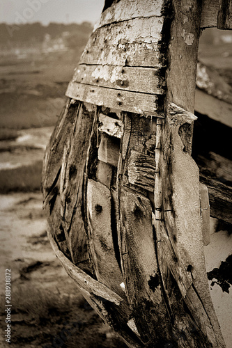 carcasses
