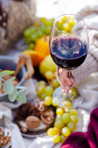 Authentic autumn picnic in Paris, France. Pure inspiration, city lifestyle, cozy mood, bright colors. Young girl is holding glass of red wine. Fruits and rustic decor on background. Red scarf