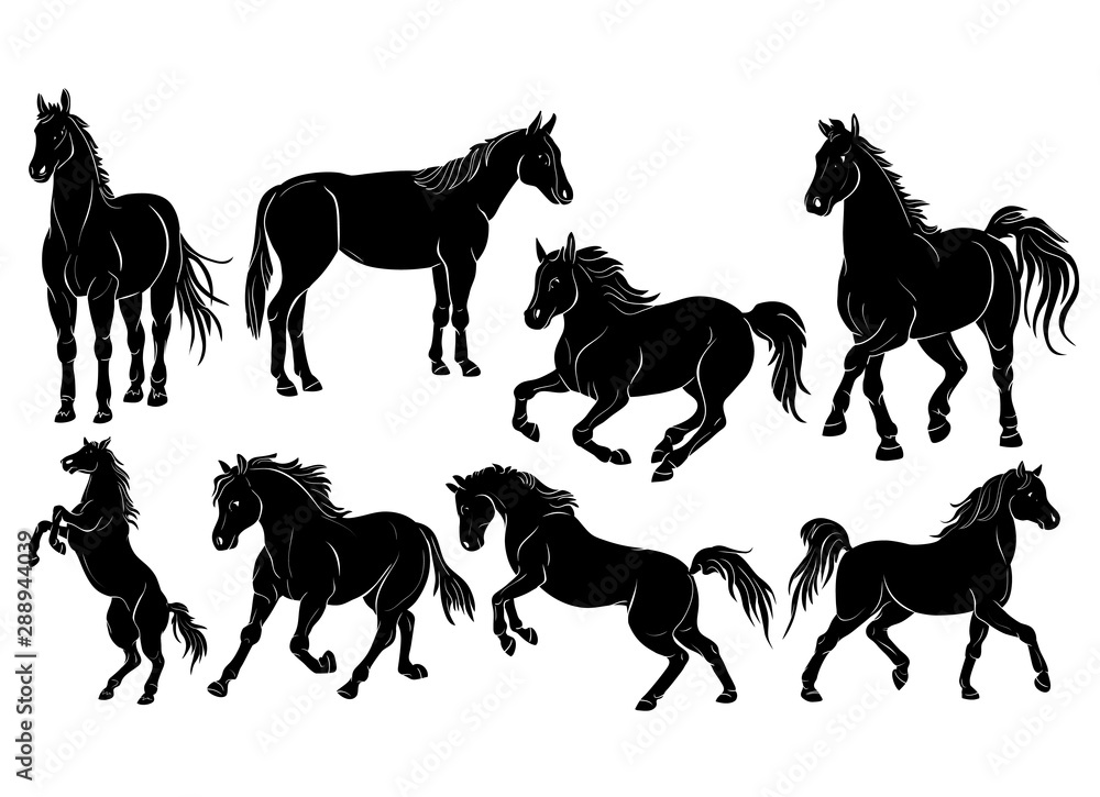 Vector Horse Silhouettes Set Stock Vector | Adobe Stock