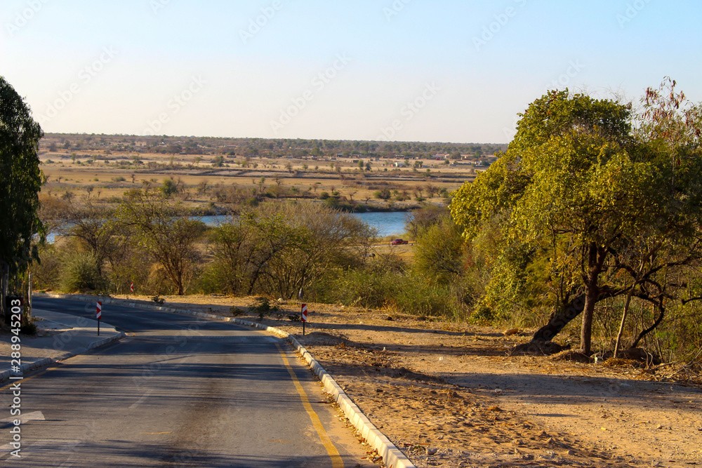 Fototapeta premium road in autumn
