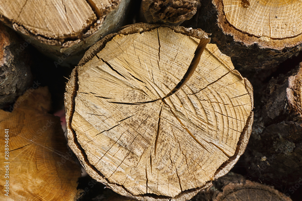 Logs of firewood piled close up . Fuel for stove heating. Country life. Wooden firewood stacked wall. Natural wood background. Logs of firewood piled close up . Fuel for stove heating. Country life. Wooden firewood stacked wall. Natural wood background.