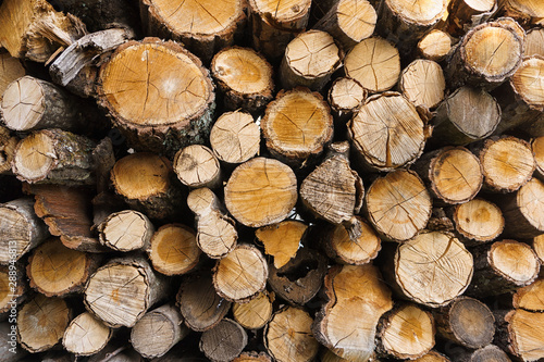 Logs of firewood piled . Fuel for stove heating. Country life. Wooden firewood stacked wall. Natural wood background.