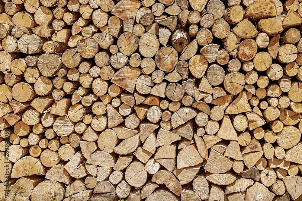 logging and storage of firewood logging and storage of firewood