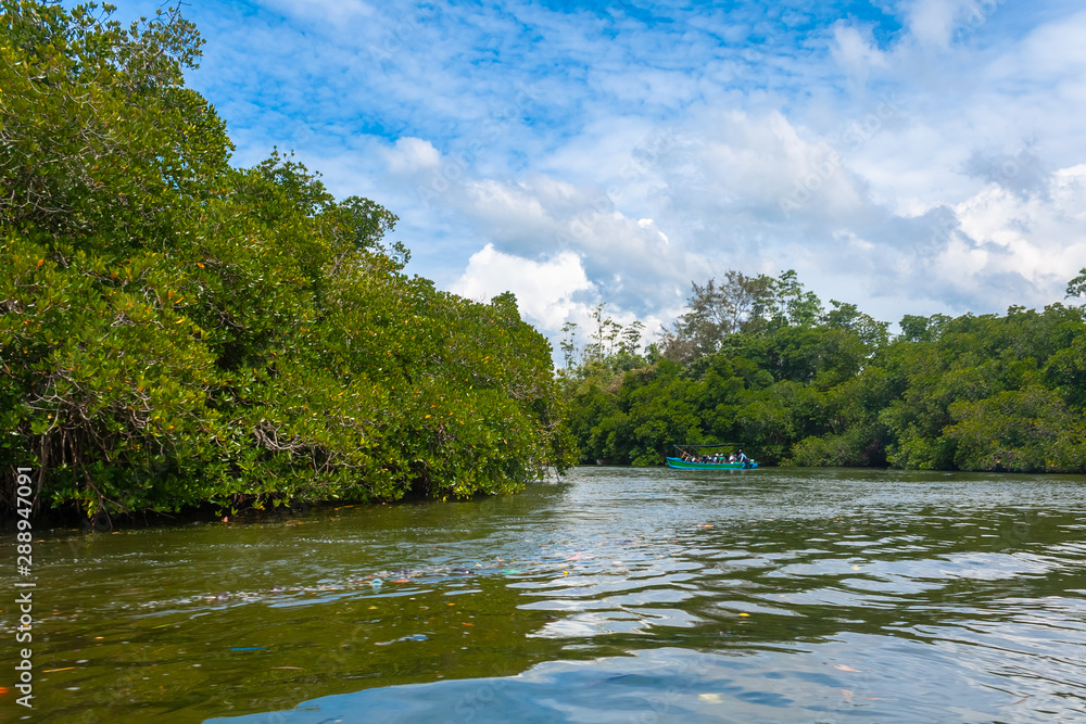 Madu River Safari, beautiful tropical riverbank Madu River Safari, beautiful tropical riverbank