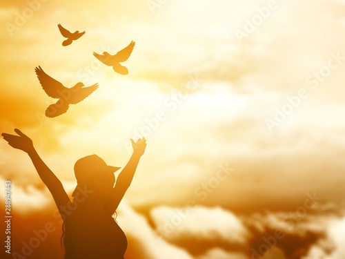 Peace abstract alone background bird christian concept