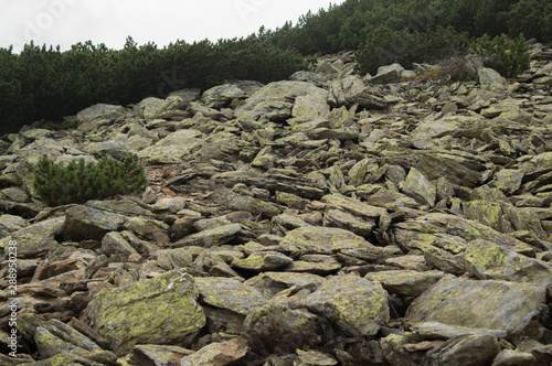 mountain debris in the Giant mountains / Karkonosze / Krkonose