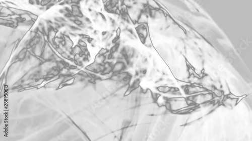 Abstract fractal forms morph and oscillate (Loop)