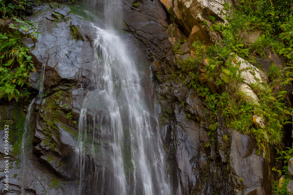 Obraz premium September 21,2019:Puerto Vallarta ,Waterfall in Yelapa,tropical beach in Yelapa, Puerto Vallarta, Mexico.