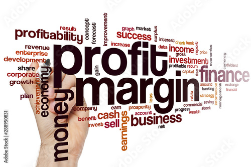 Obraz na plátne Profit margin word cloud