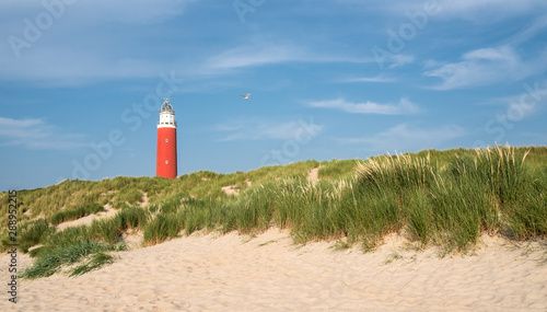 Wallpaper Mural Texel Lighthouse in the dunes on a sunny summer day in june Torontodigital.ca