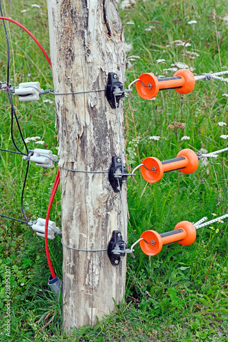 Elektrozaun zur Abwehr von Wölfen - Electric fence photo