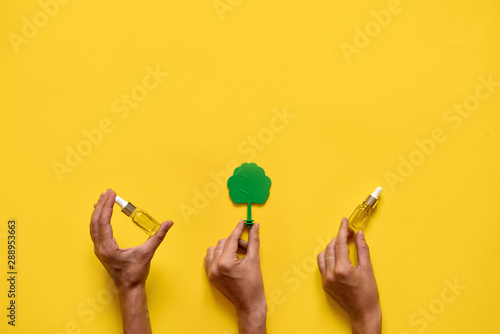 Hands holding essential oils and trees. natural medicine flat lay. Yellow background photo
