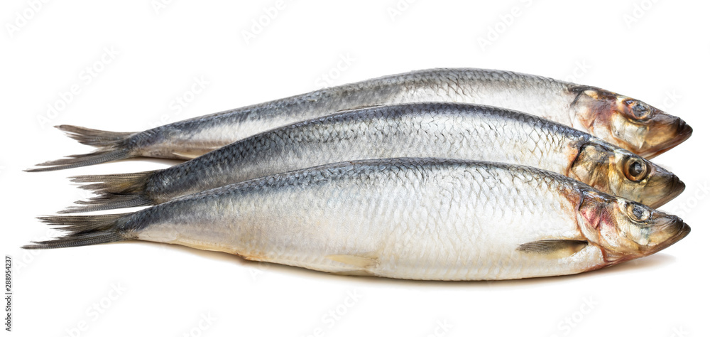 Set of fresh whole herring fish isolated on white Set of fresh whole herring fish isolated on white