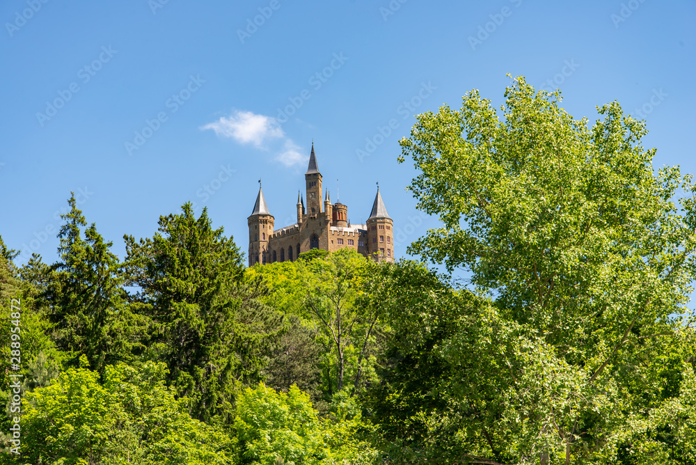 Castle between trees