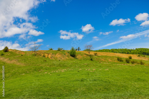 View of a green hill with trees, blue sky with white clouds.