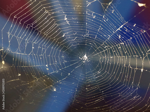 Macro photography of a web of woven spider in summer night