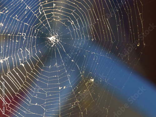 Macro photography of a web of woven spider in summer night