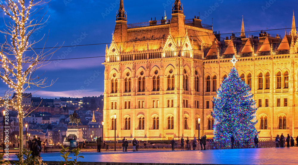 Nice Christmas tree in front of the Hungarian Parliament