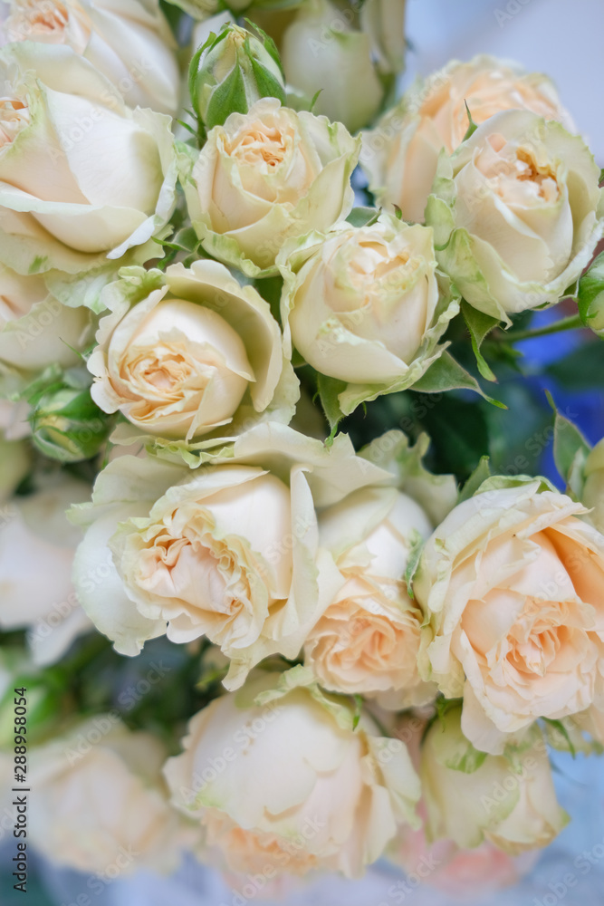 A bouquet of fresh tea and gently pink roses on a blue background. A bouquet of fresh tea and gently pink roses on a blue background.