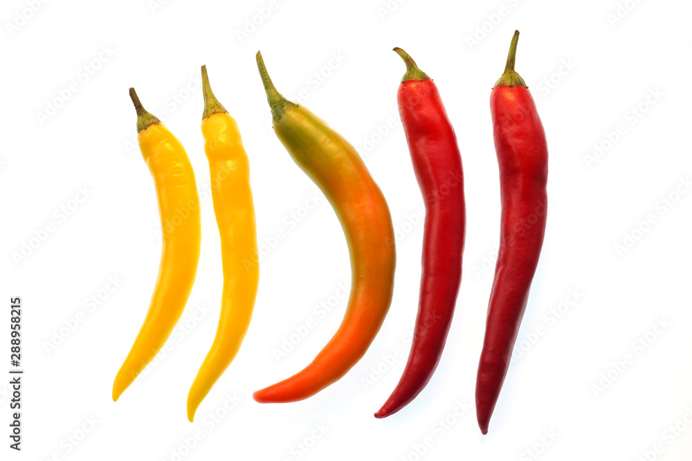 Five colorful chili peppers in a row with white background Five colorful chili peppers in a row with white background