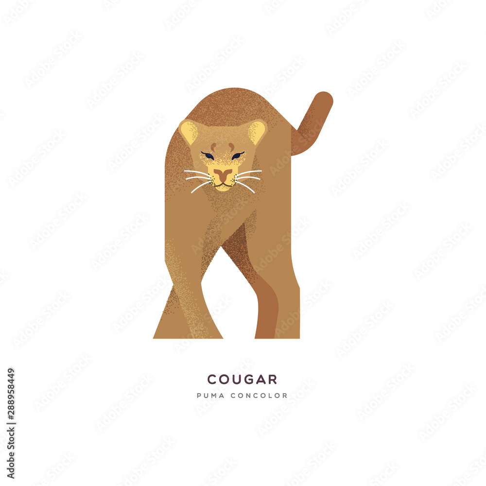 Wild cougar cat isolated animal cartoon - obrazy, fototapety, plakaty 