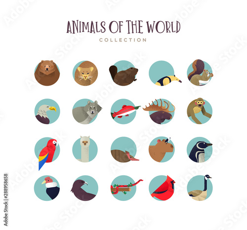 Animal icon collection of exotic wildlife symbols