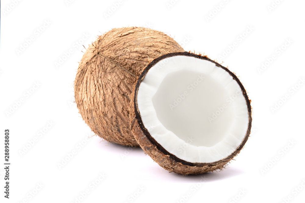 coconut on a white background coconut on a white background