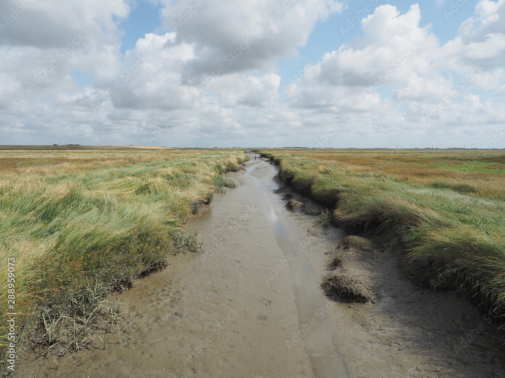 UNESCO-Weltnaturerbe - Nationalpark Wattenmeer 