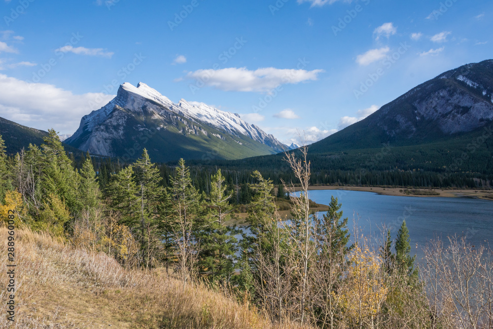 mountain range, forest and river in the sun at banff national park canada