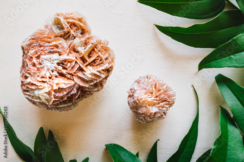 Εκτύπωση καμβά Desert Roses with Jasmine Leaves