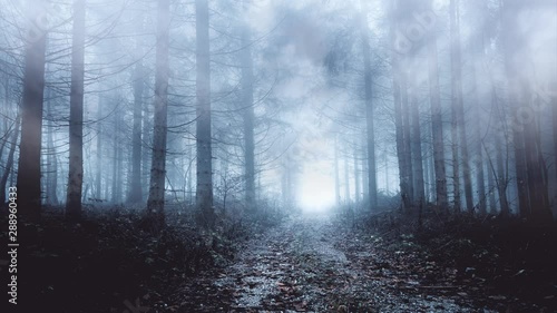 Mystic foggy forest road with fantasy light. Artisic clouds flying in misty woodland. photo