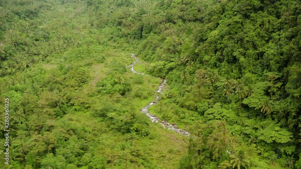 River in the valley among the rainforest, covered with trees and jungle aerial view. River in the green forest. Camiguin, Philippines. River in the valley among the rainforest, covered with trees and jungle aerial view. River in the green forest. Camiguin, Philippines.