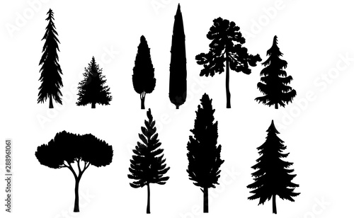 Vector Pine and Evergreen Trees Silhouettes Set